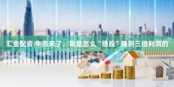 汇金配资 牛市来了，我是怎么“捂股”赚到三倍利润的