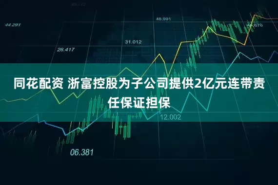 同花配资 浙富控股为子公司提供2亿元连带责任保证担保